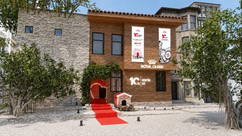 Kedi ve Köpek sağlığını bilimin gözünden keşfedin