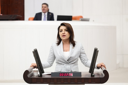 Gülcan Kış: “100 lira 41 litre mazot alıyordu, şimdi 1 litre”