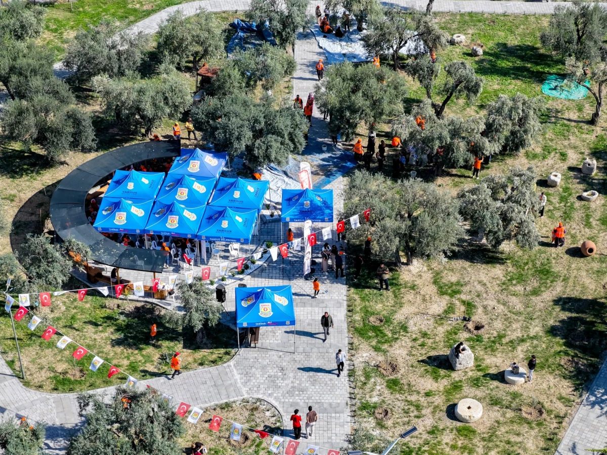 Lösemili çocukların zeytin hasadı dayanışmaya dönüştü